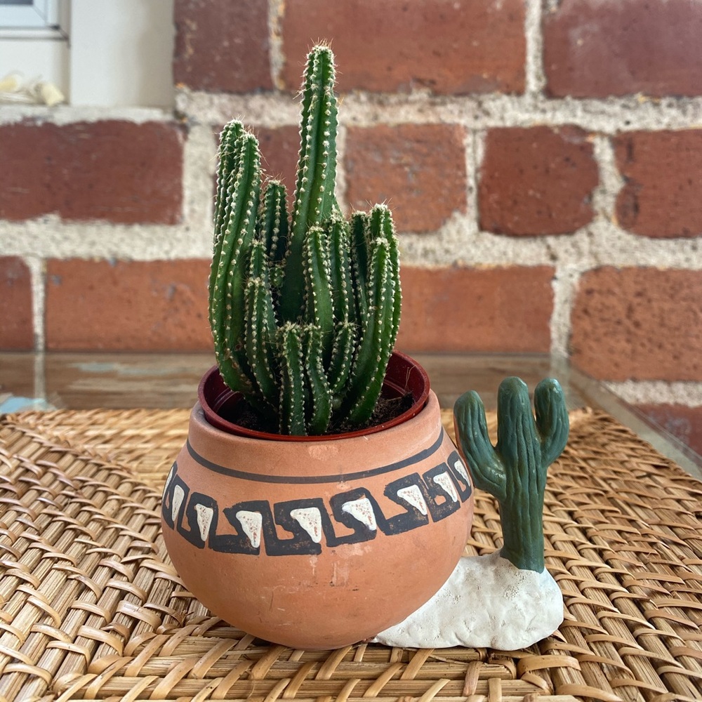 Aztec cactus pot/cup